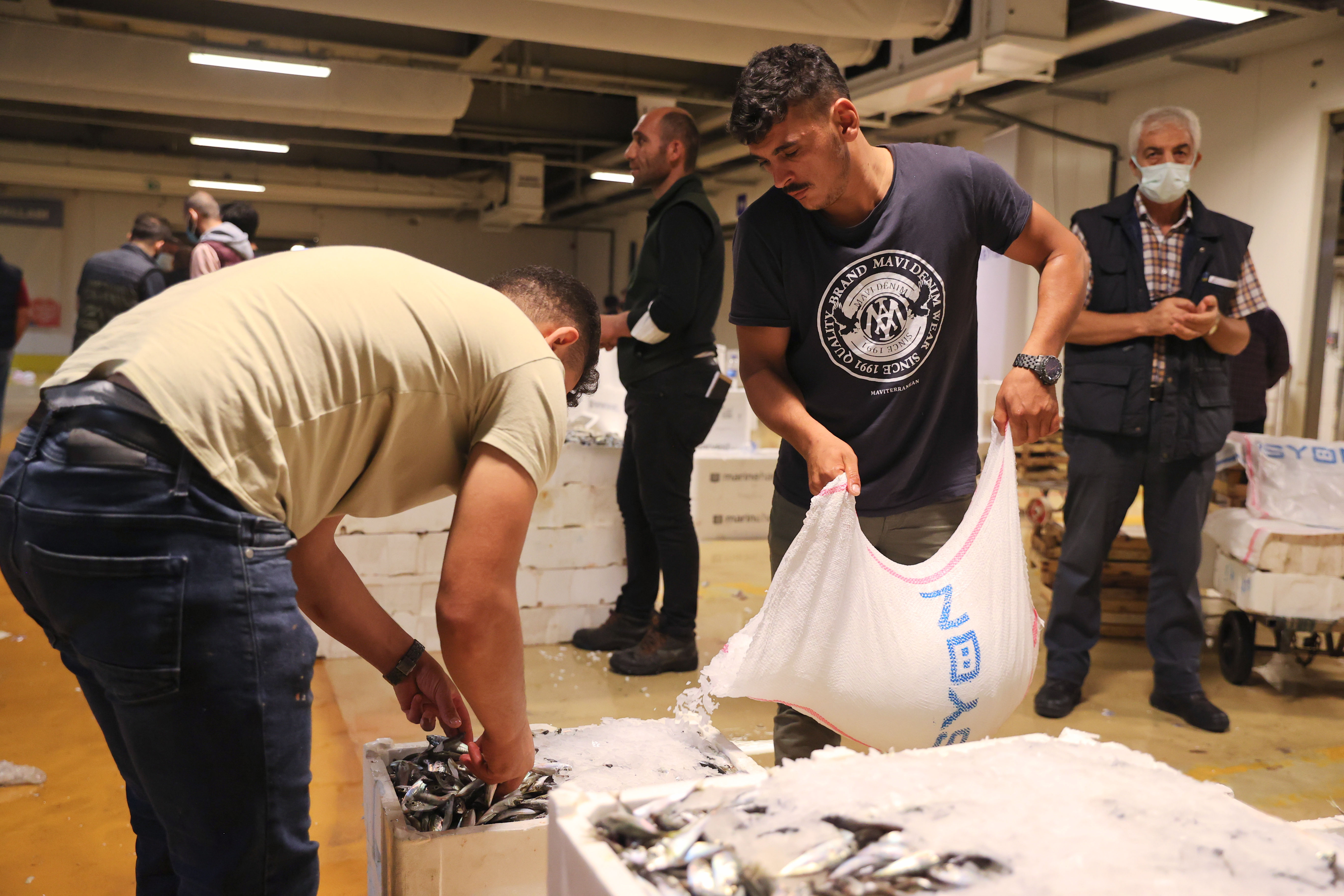 Av yasağı sona erdi! İstanbul'da balıkçılar vira bismillah diyerek ilk ağlarını çekti!