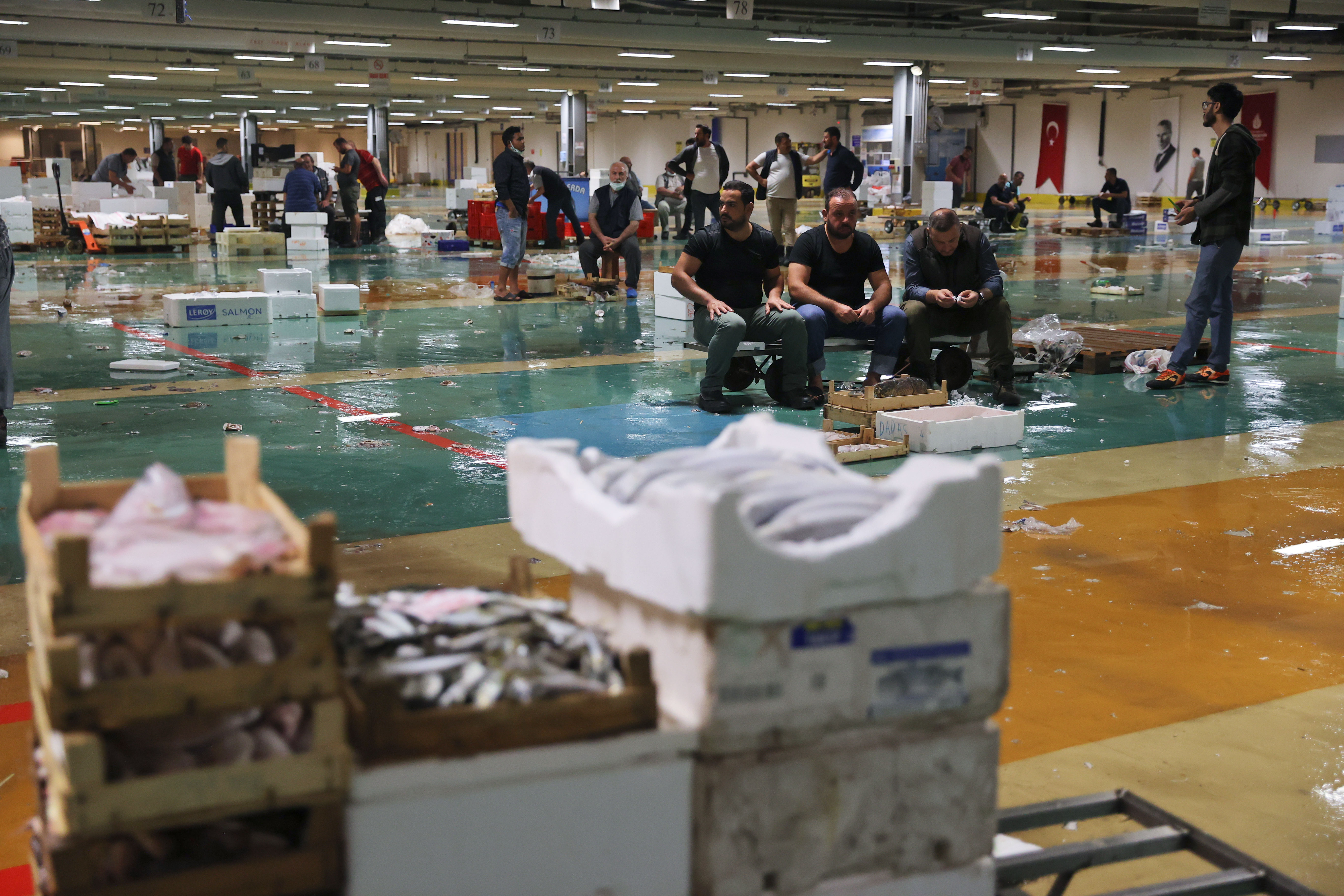 Av yasağı sona erdi! İstanbul'da balıkçılar vira bismillah diyerek ilk ağlarını çekti!