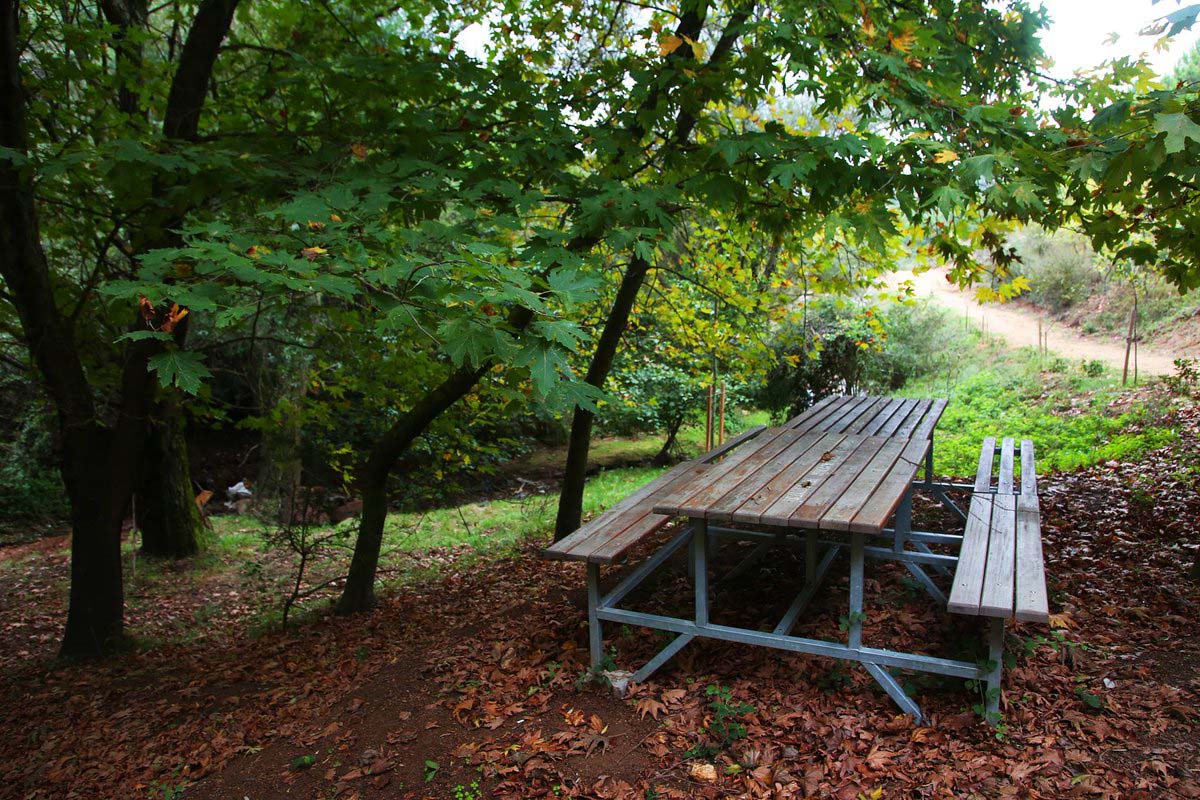 Belgrad ormanı açık mı, kapalı mı? Belgrad ormanı giriş yasak mı? Kemerburgaz, Aydos Ormanlarında piknik, mangal yasak mı? 
