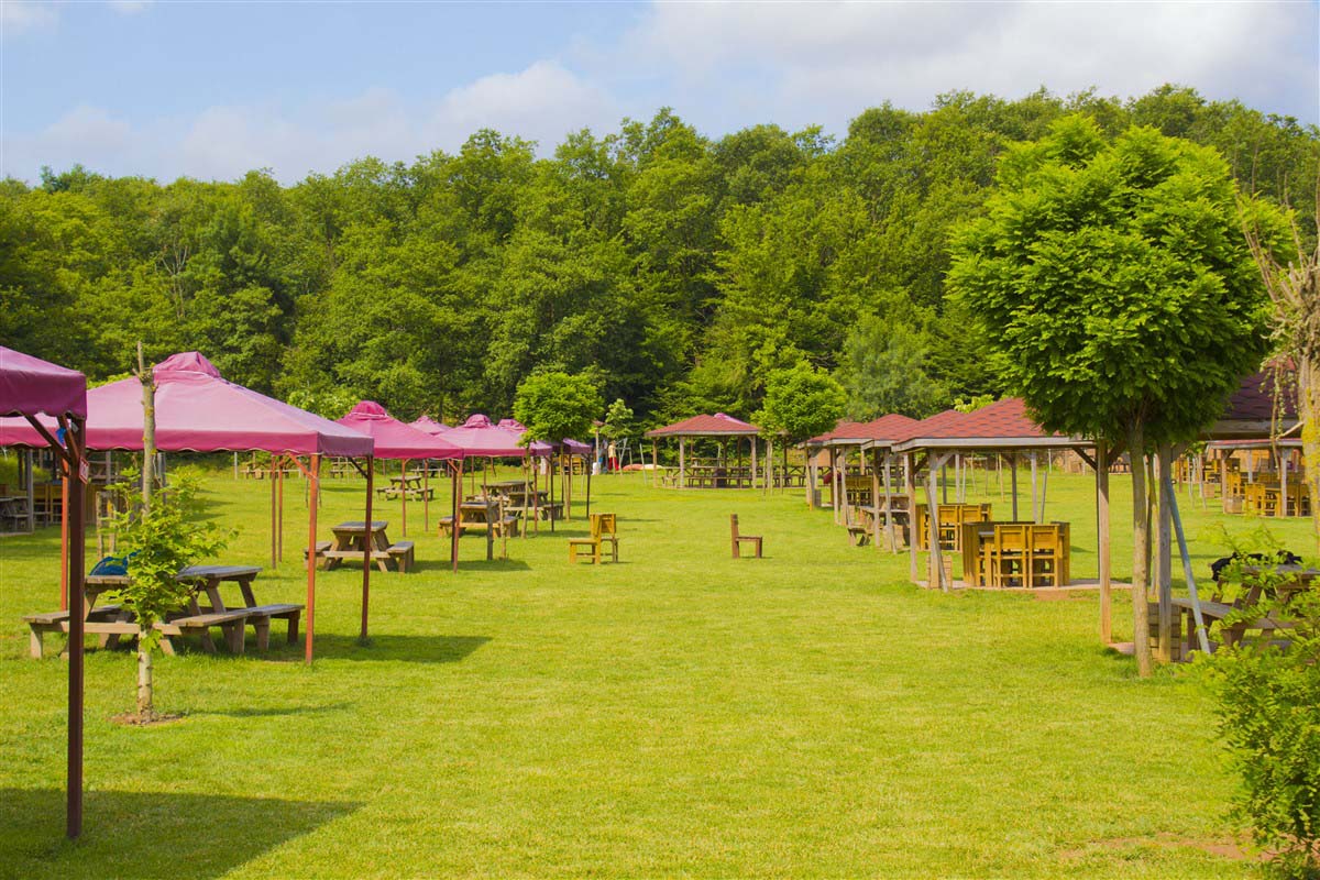 Belgrad ormanı açık mı, kapalı mı? Belgrad ormanı giriş yasak mı? Kemerburgaz, Aydos Ormanlarında piknik, mangal yasak mı? 