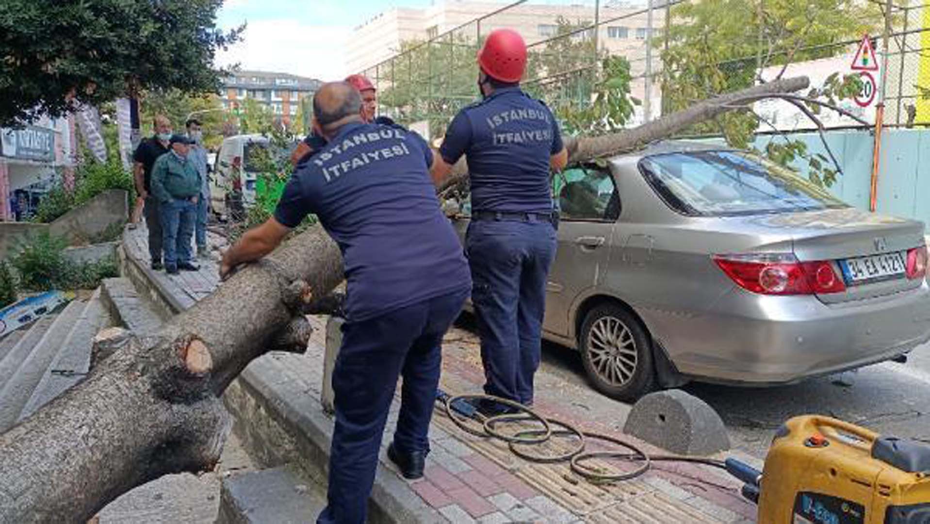 Bakırköy’de ağaç devrildi; dal çarpan kadın yaralandı
