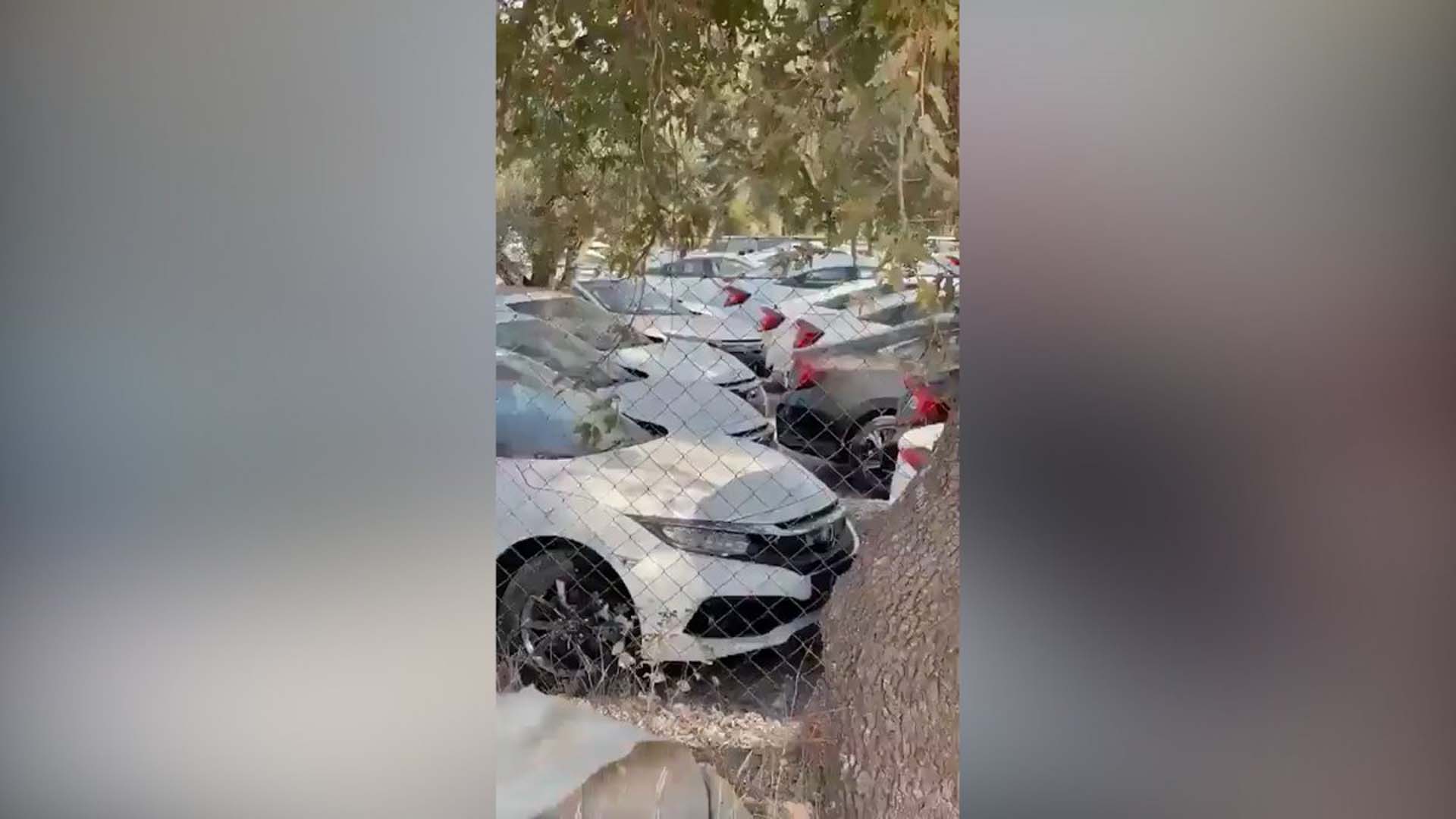 arac-79Vatandaşa sıfır araç yok diyen bayilerin stok yalanı ortaya çıktı! Görüntüleri izleyen vatandaşlar isyan etti, demediklerini bırakmadı