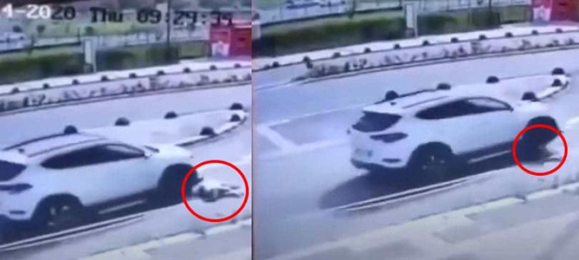 Maltepe’de bir köpeği ezerek katletmişti! Mahkeme Doç. Dr. Ocaklı’nın beraatine karar verdi.