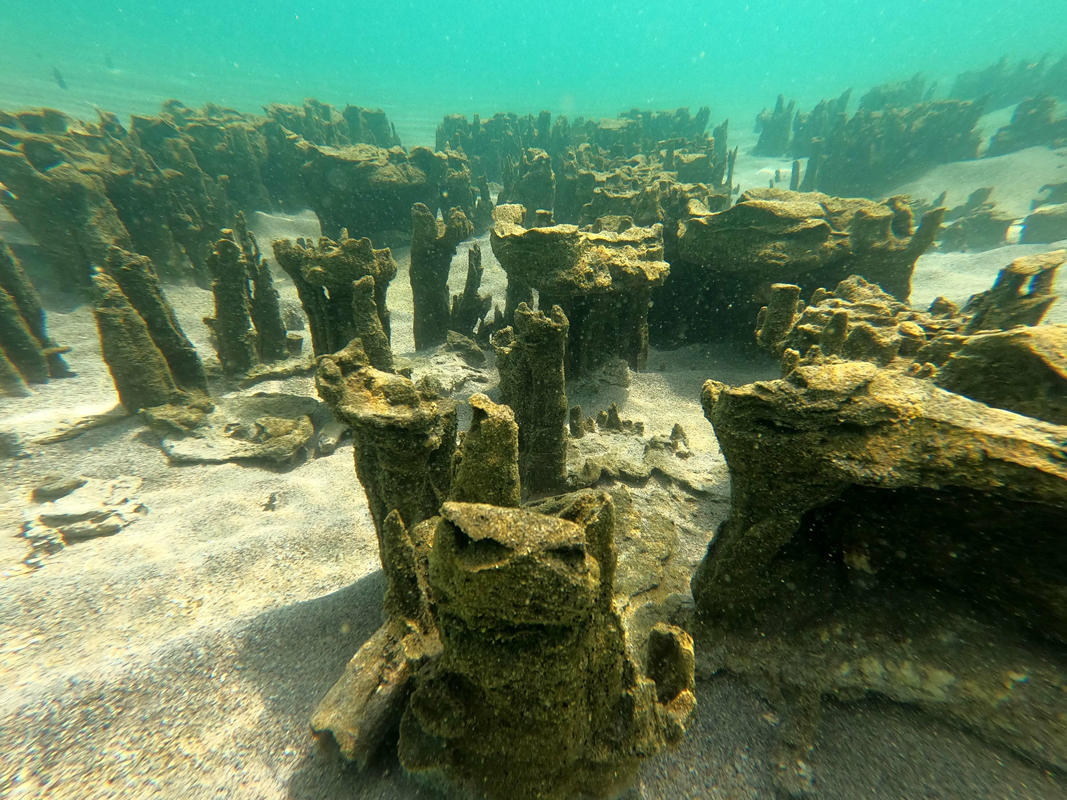 Mikrobiyalit nedir, ne demek? Mikrobiyalit ne işe yarar, nasıl oluşur, nerelerde görülür?