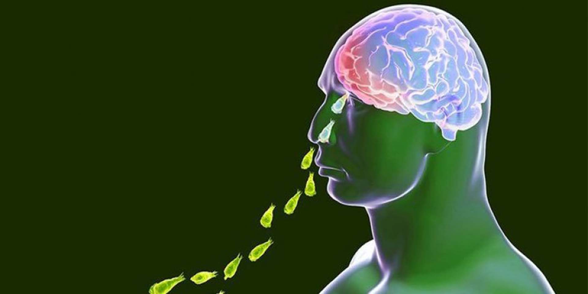 Burnundan girdi, beynini kemirdi! Beyin yiyen amip bir çocuğu hayattan kopardı! 