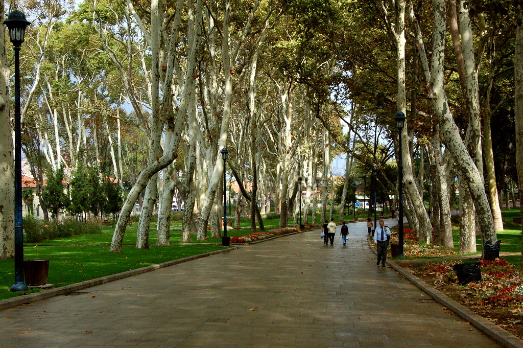 Gülhane Parkı nerede, nasıl gidilir? Gülhane Parkı giriş ücreti, ziyaret saatleri 2021