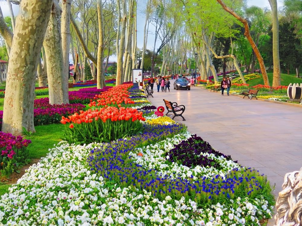 Gülhane Parkı nerede, nasıl gidilir? Gülhane Parkı giriş ücreti, ziyaret saatleri 2021