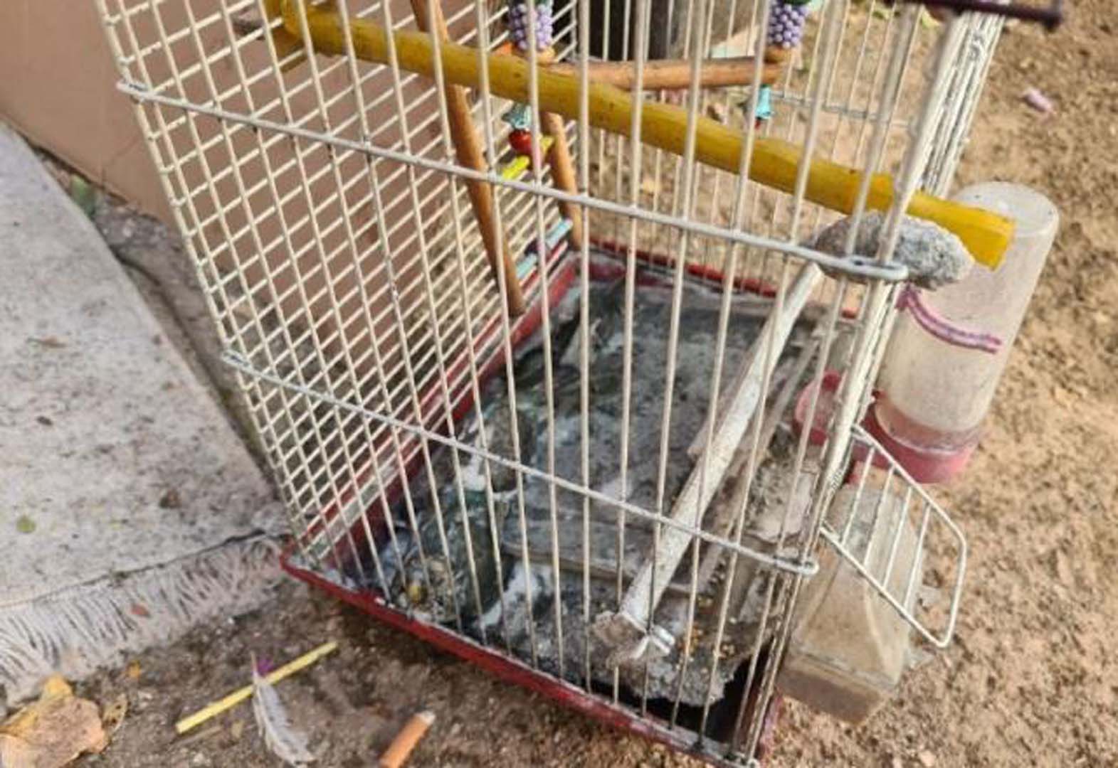 Çocuklarını rehin aldılar! İkna olmayınca evi ateşe verdiler