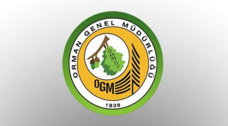 Orman Genel Müdürlüğü Sözleşmeli personel alımı 2021! OGM personel alımı başvurusu nasıl yapılır, şartları nedir?