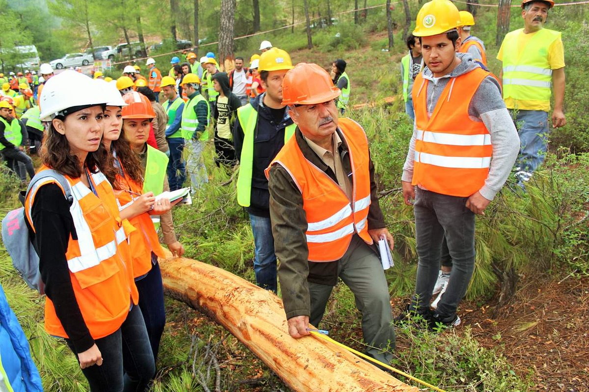 Orman Genel Müdürlüğü Sözleşmeli personel alımı 2021! OGM personel alımı başvurusu nasıl yapılır, şartları nedir?