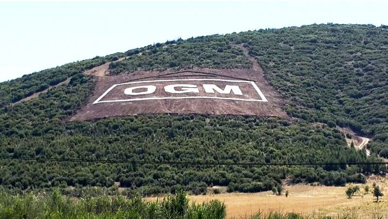 Orman Genel Müdürlüğü Sözleşmeli personel alımı 2021! OGM personel alımı başvurusu nasıl yapılır, şartları nedir?