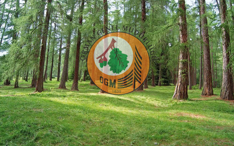 Orman Genel Müdürlüğü Sözleşmeli personel alımı 2021! OGM personel alımı başvurusu nasıl yapılır, şartları nedir?