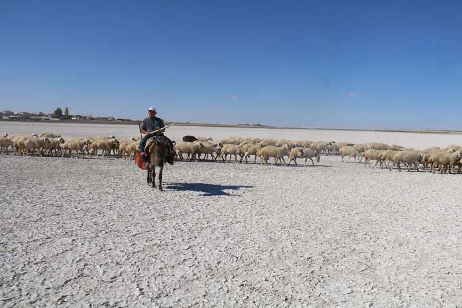 Birçok göçmen kuşa ev sahipliği yapan Akgöl kurudu! Artık üzerinden araçlar geçiyor!