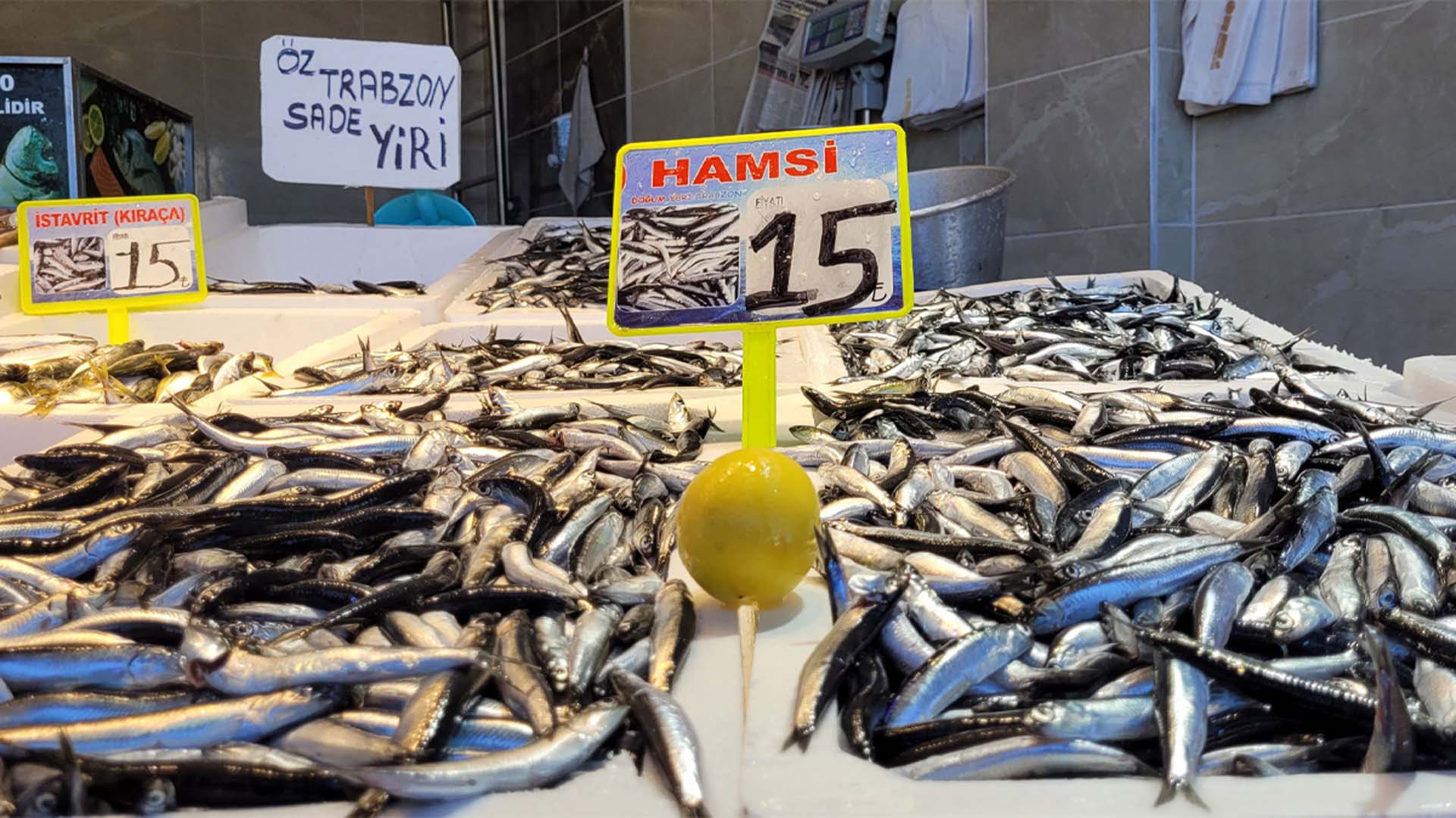 Karadeniz'de hamsi bolluğu başladı, fiyatlar yarıya düştü