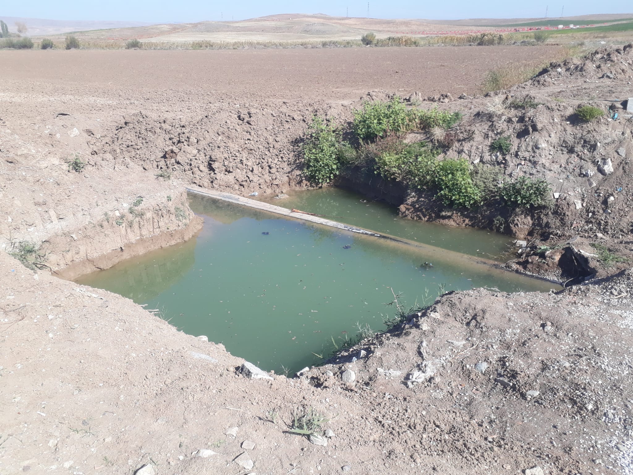 Şanlıurfa'dan çalışmak için Çorum'a gelmişlerdi! Kaybolan Ali Kubacık'ın 6 saat sonra cansız bedeni bulundu 