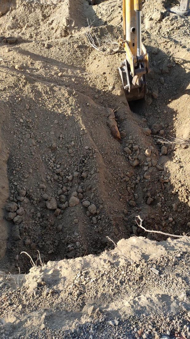 Kardeşlerin şüpheli ölümlerinde itiraf geldi! Piknik bahanesiyle gittikleri yerde tüfekle öldürüp gömdüler, üzerini seramikle kapladılar!