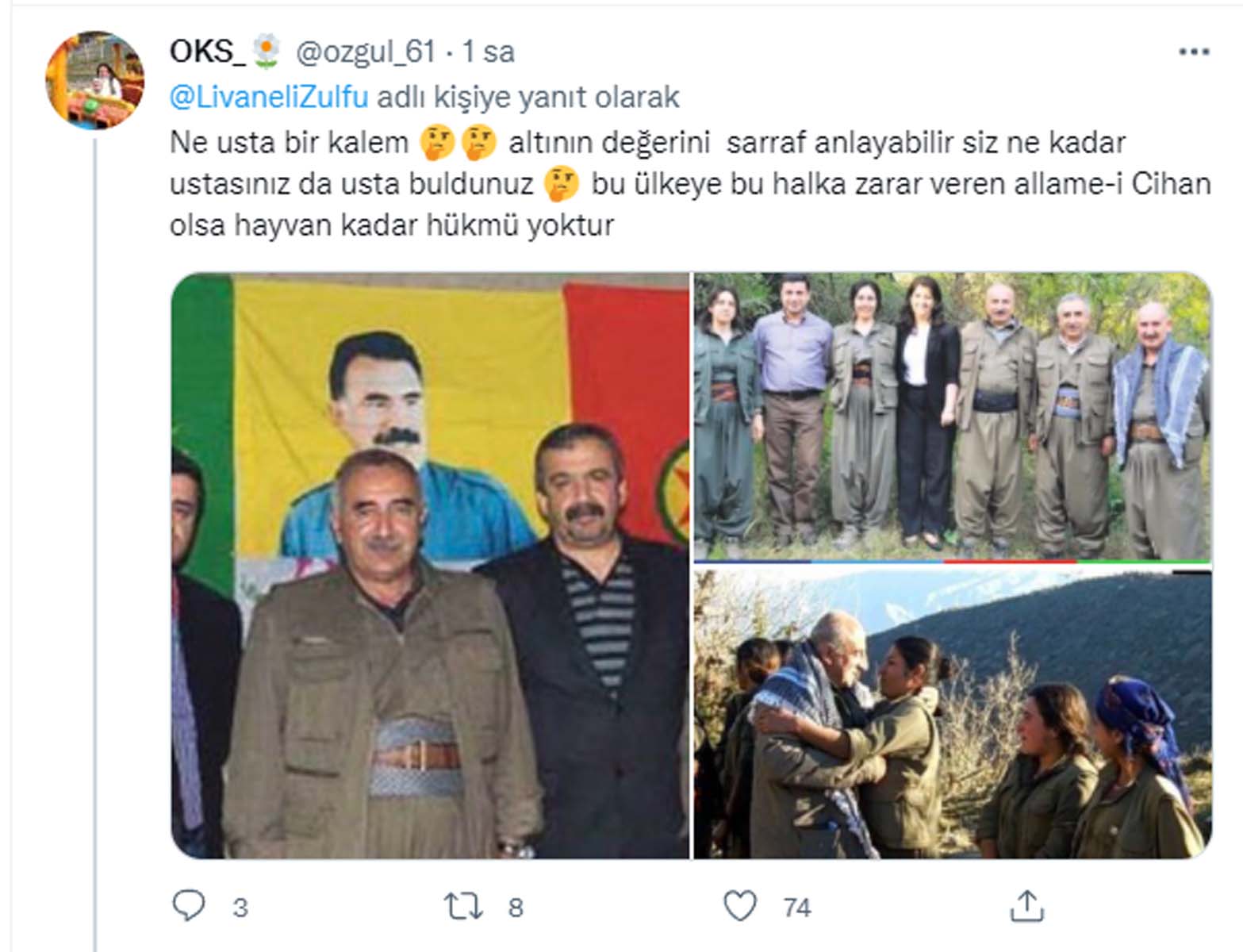 Zülfü Livaneli'nin Selahattin Demirtaş'ı övdü! Sosyal medya kullanıcıları sert çıktı 