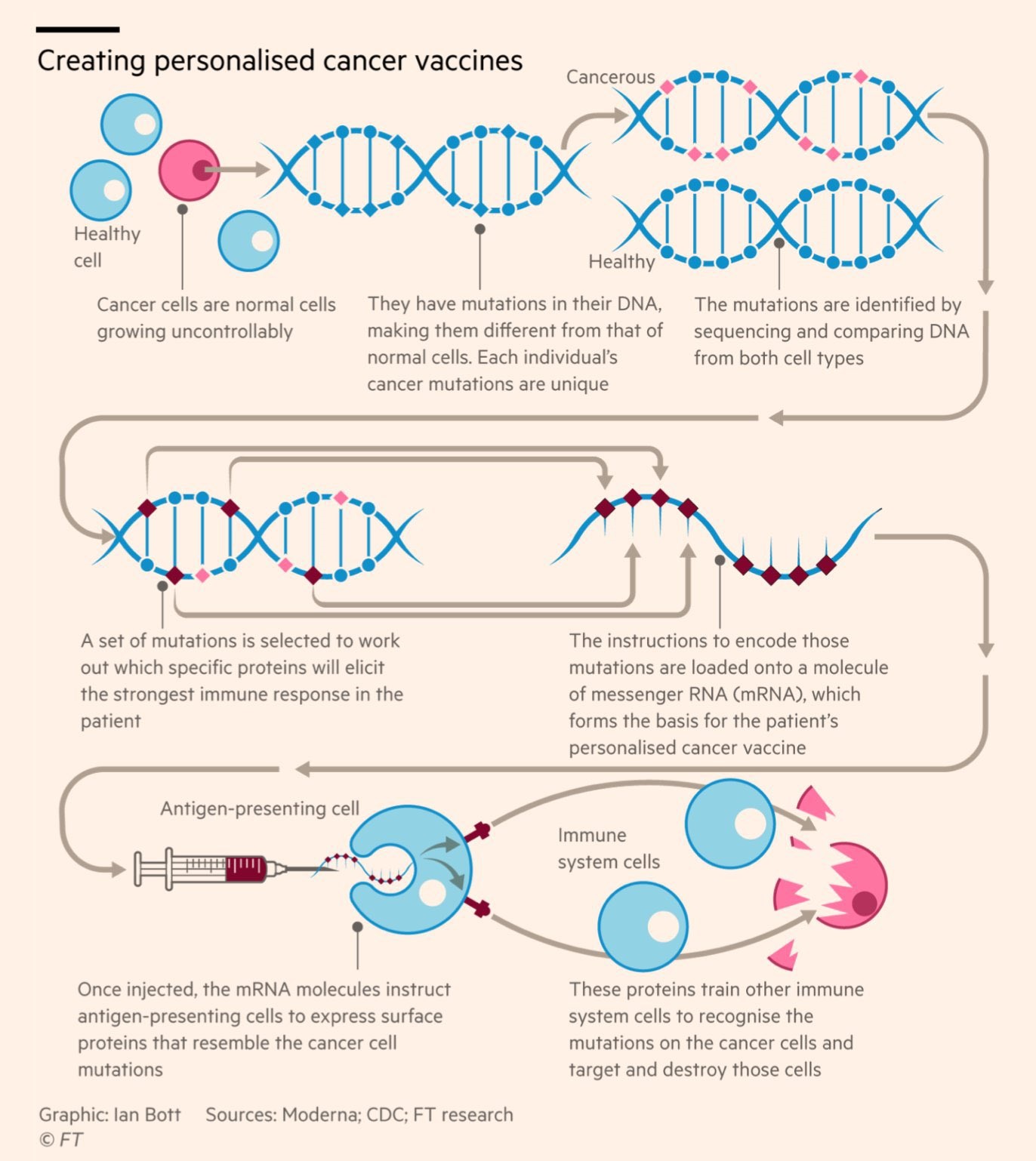 Prof. Dr. Güner Sönmez: mRNA aşılarının Covid 19’daki başarısı modern tıpta bir devrimi müjdeliyor olabilir