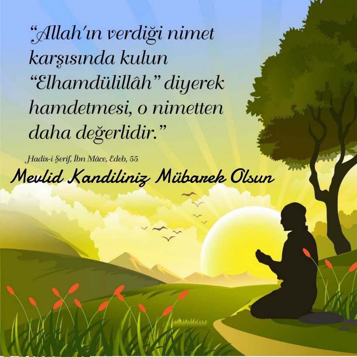 Mevlid kandili mesajları, sözleri 2022 | Kısa, uzun, anlamlı, hadisli, en güzel Mevlid Kandili mesajları