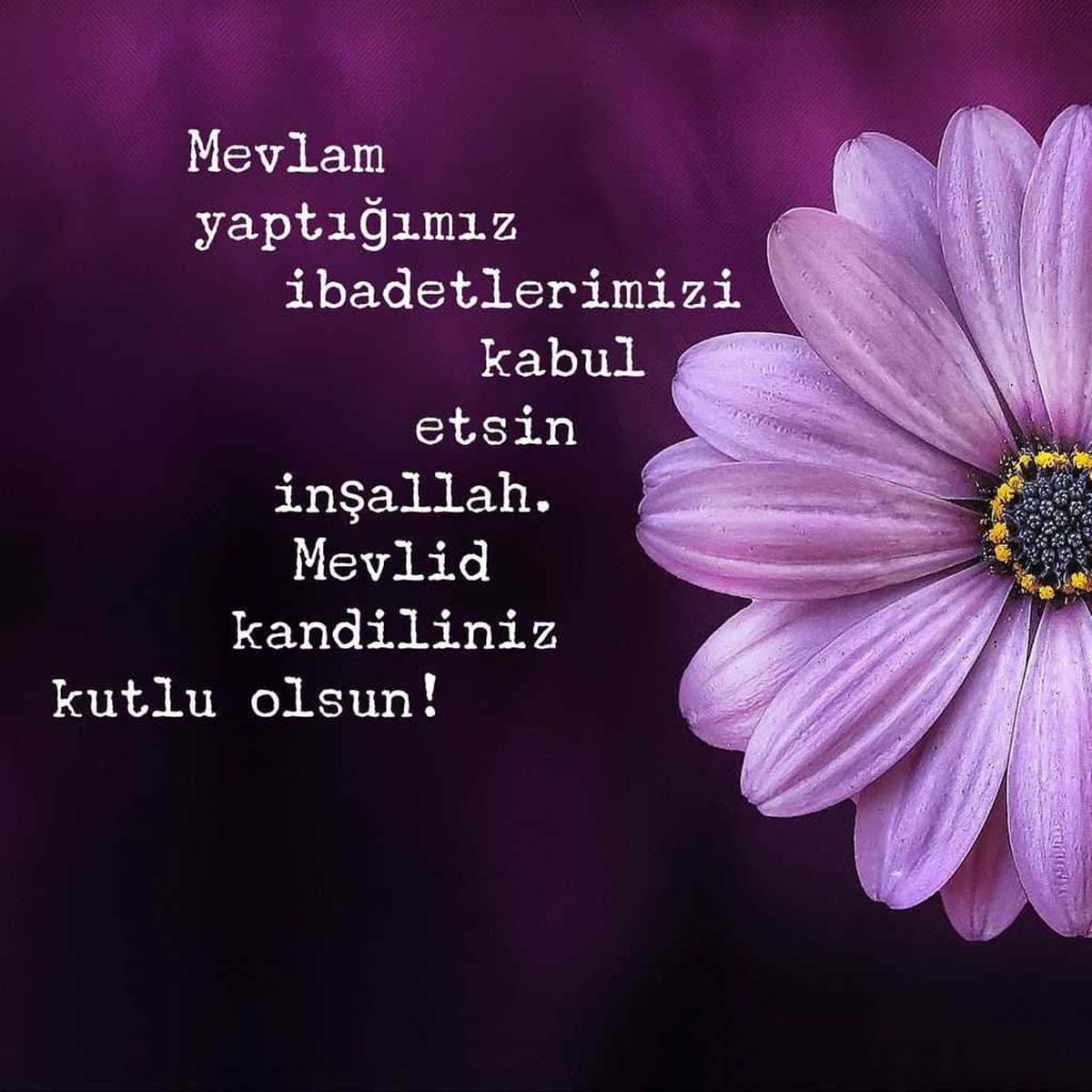 Mevlid kandili mesajları, sözleri 2022 | Kısa, uzun, anlamlı, hadisli, en güzel Mevlid Kandili mesajları
