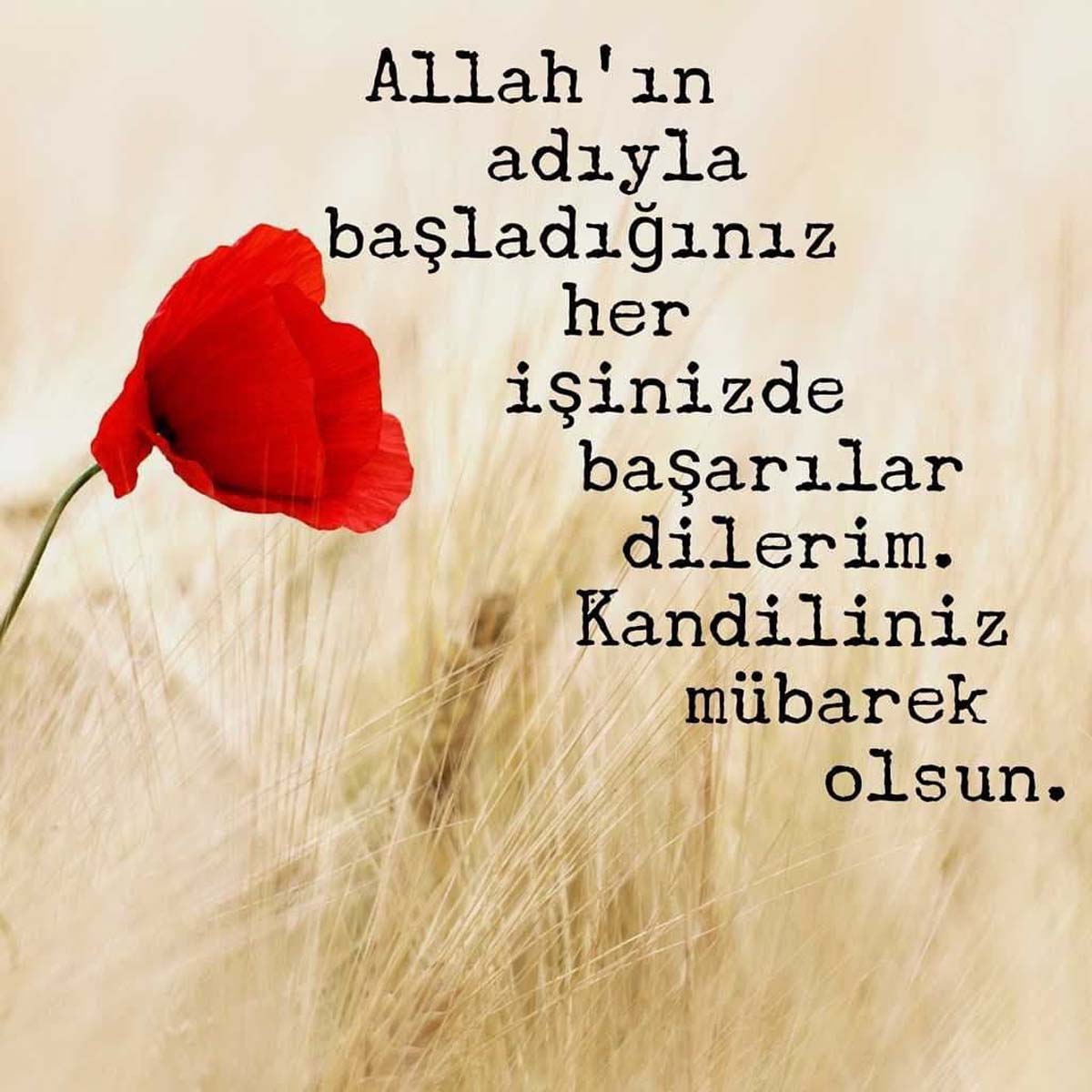 Mevlid kandili mesajları, sözleri 2022 | Kısa, uzun, anlamlı, hadisli, en güzel Mevlid Kandili mesajları