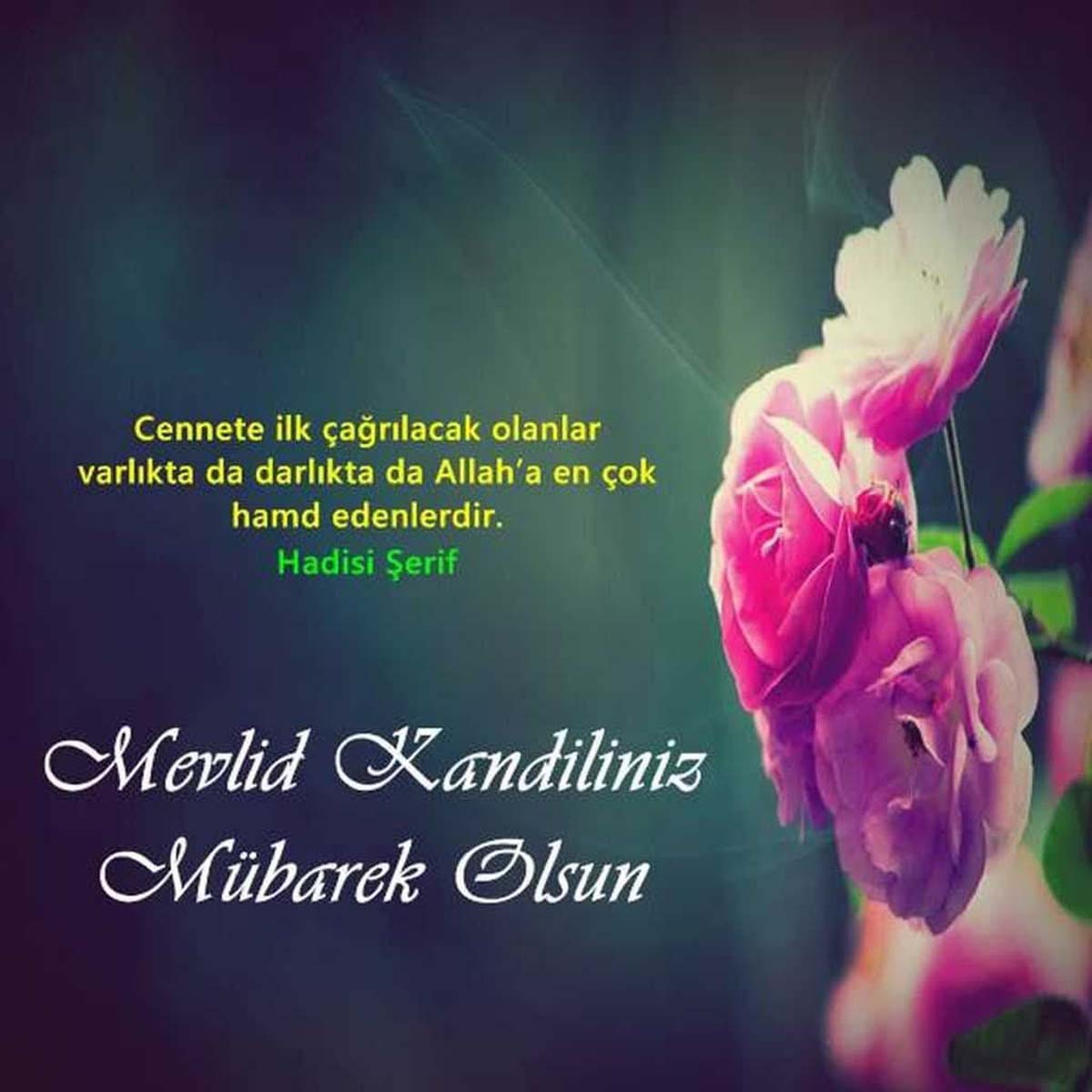 Mevlid kandili mesajları, sözleri 2022 | Kısa, uzun, anlamlı, hadisli, en güzel Mevlid Kandili mesajları