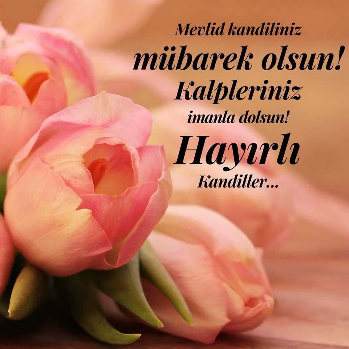 En güzel, anlamlı, dualı, hadisli Mevlid Kandili mesajları | Mevlid Kandili resimli mesajları 2022