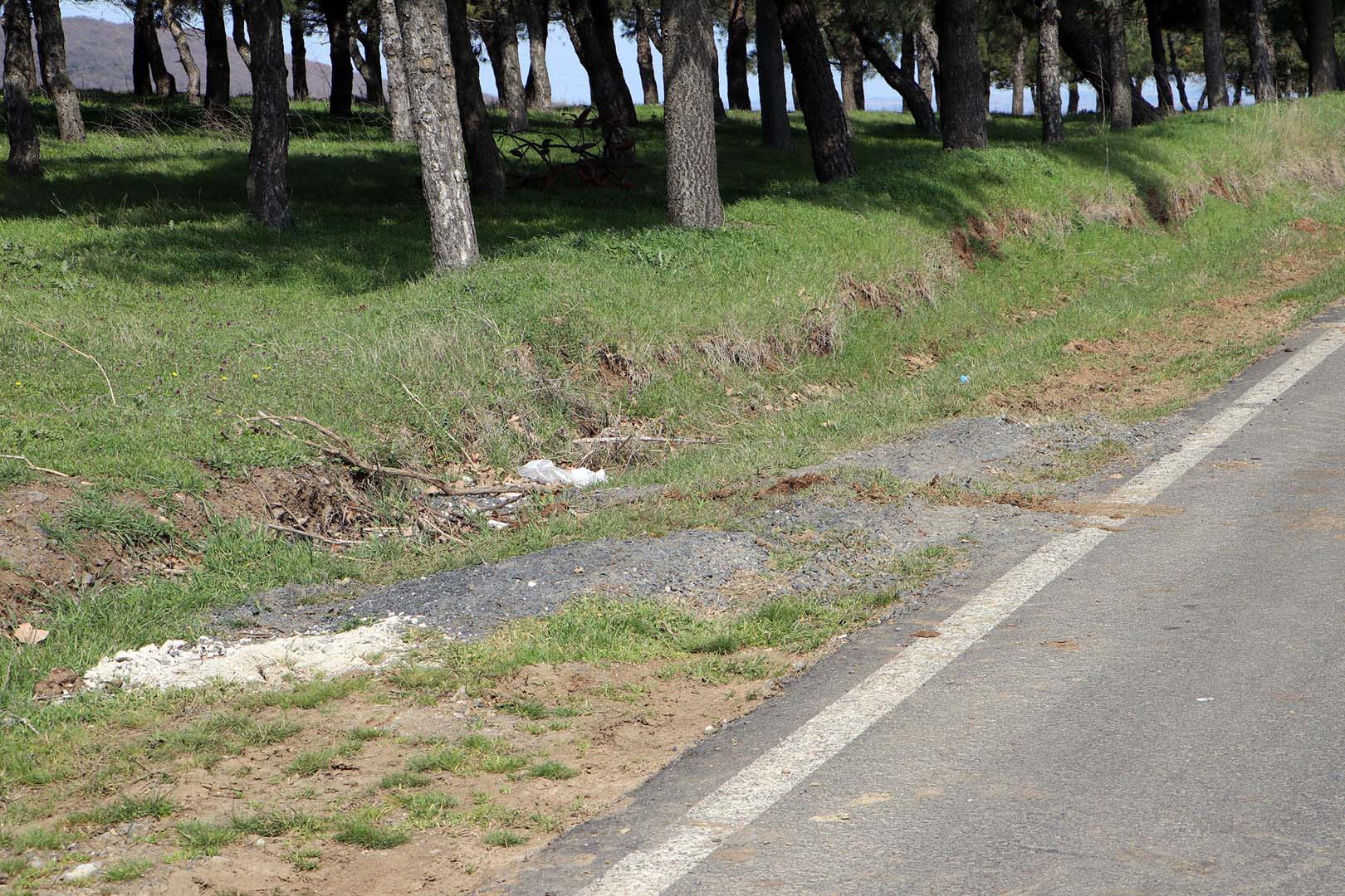 Ekrem Aydın boşanma arifesinde oldukları eşini avukata götürme bahanesiyle kandırdı! Ormanda benzin dökerek yaktı! 