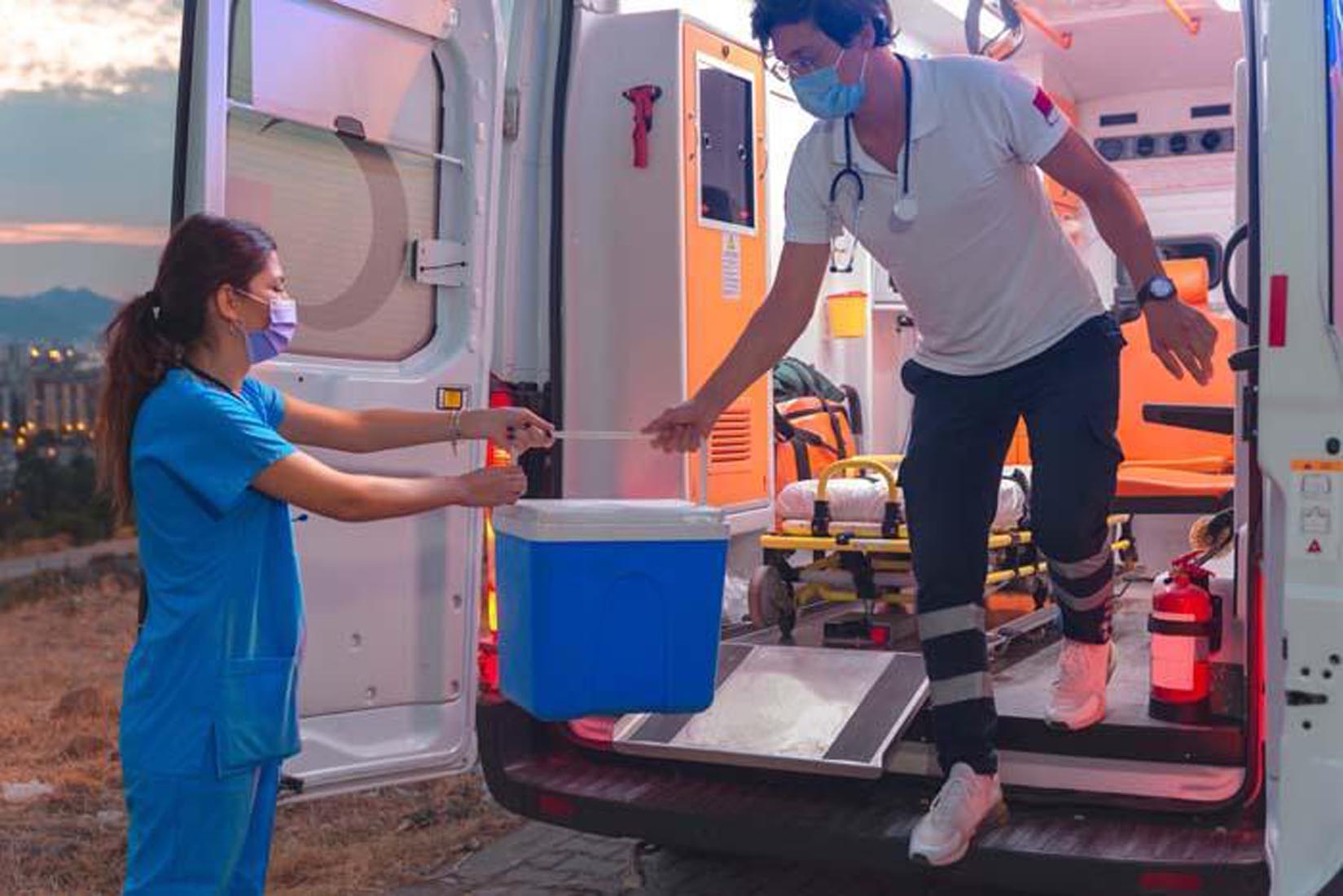 Dünyada bir ilk gerçekleşti! Domuzdan alınan organ insana nakledildi! Yüz binlerce hayat kurtarılabilir