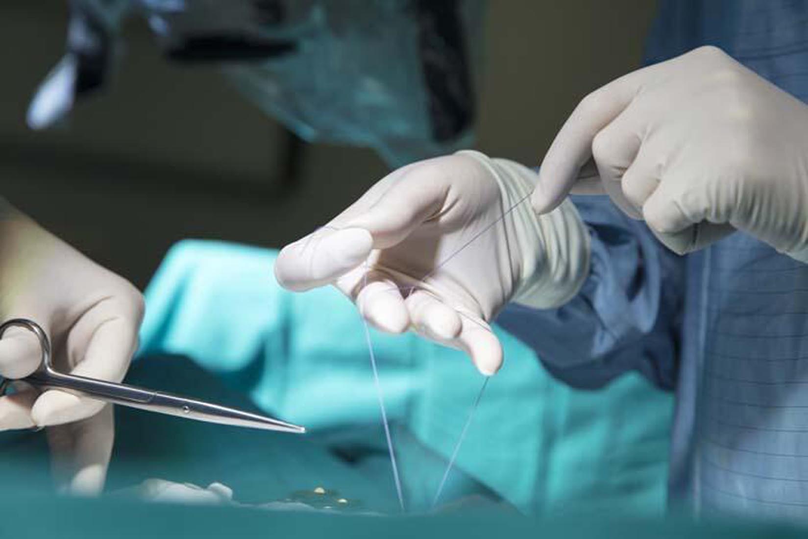 Dünyada bir ilk gerçekleşti! Domuzdan alınan organ insana nakledildi! Yüz binlerce hayat kurtarılabilir