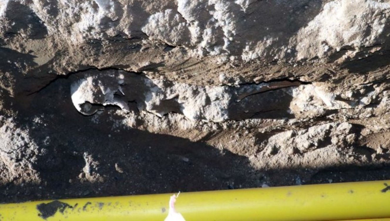 Kentsel dönüşüm alanında ortaya çıkan iskelet korkuya neden oldu!