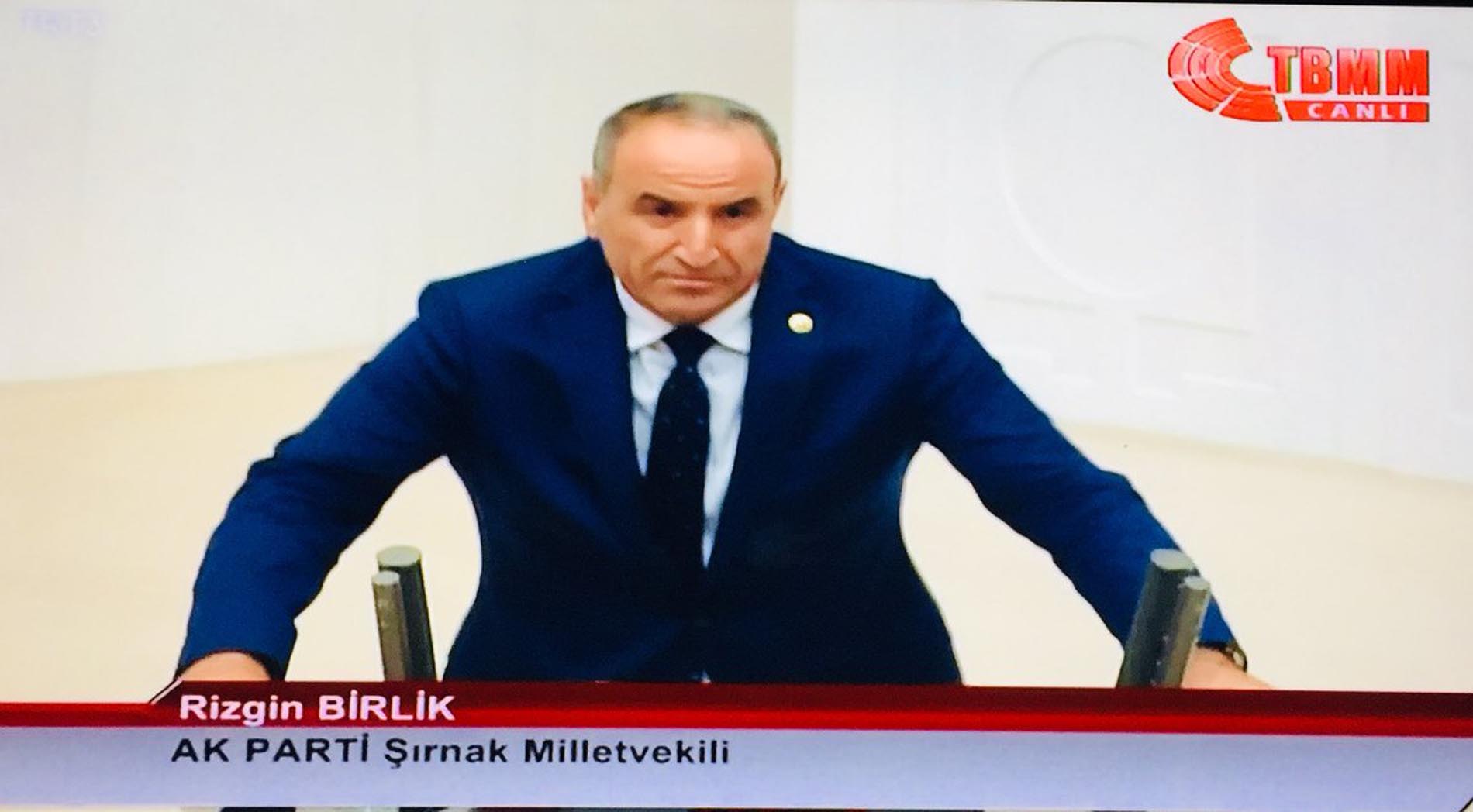 Şırnak milletvekili Rizgin Birlik kimdir? Nereli, kaç yaşında? Rizgin Birlik Biyografisi