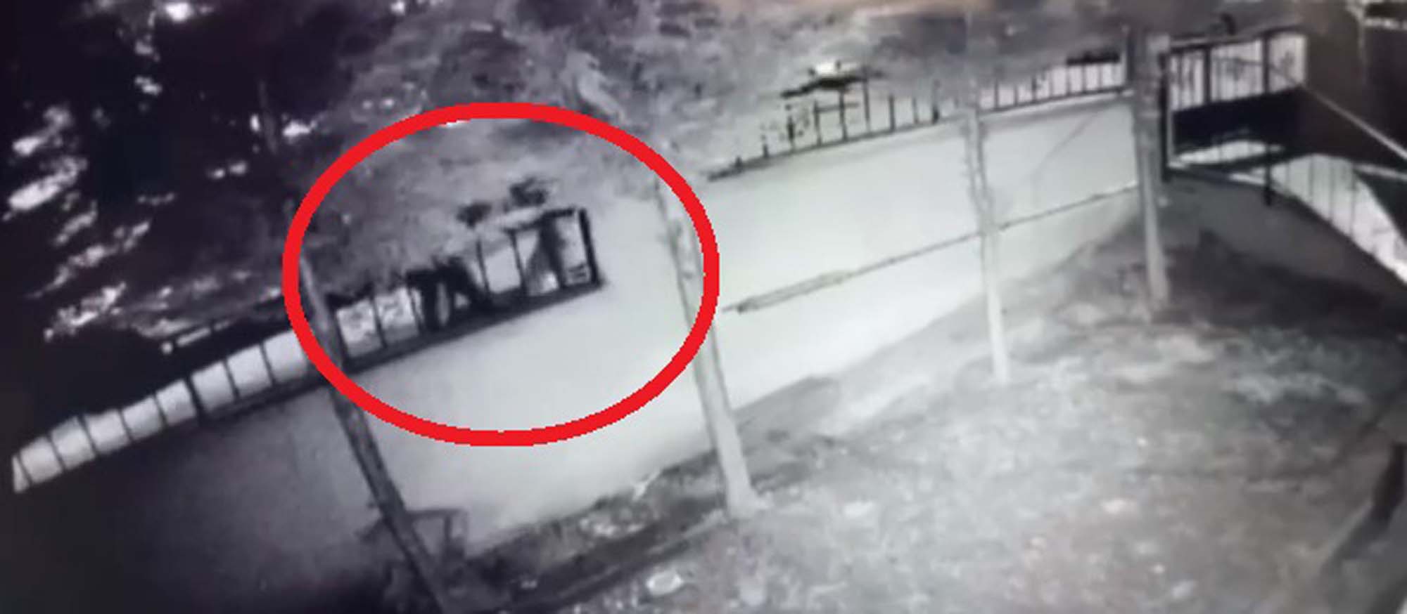 Döve döve öldürdüler! Apartmana bekar erkek giremez tartışması ölümüne sebep oldu!