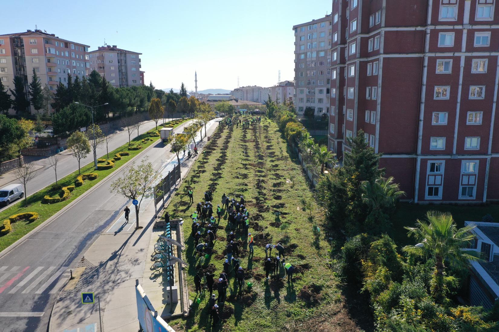 11 Kasım Milli Ağaçlandırma Günü’nde fidan diktiler, son 2 yılda 17 bini aşkın fidan dikildi