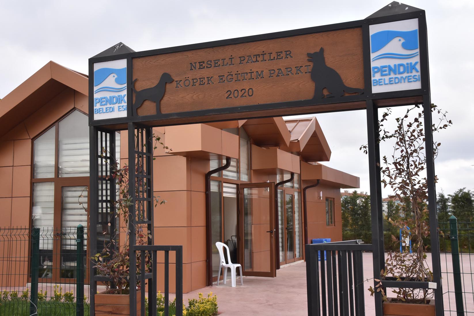 Neşeli Patiler Kliniği açıldı, sahipsiz hayvanların tedavileri yapılıyor