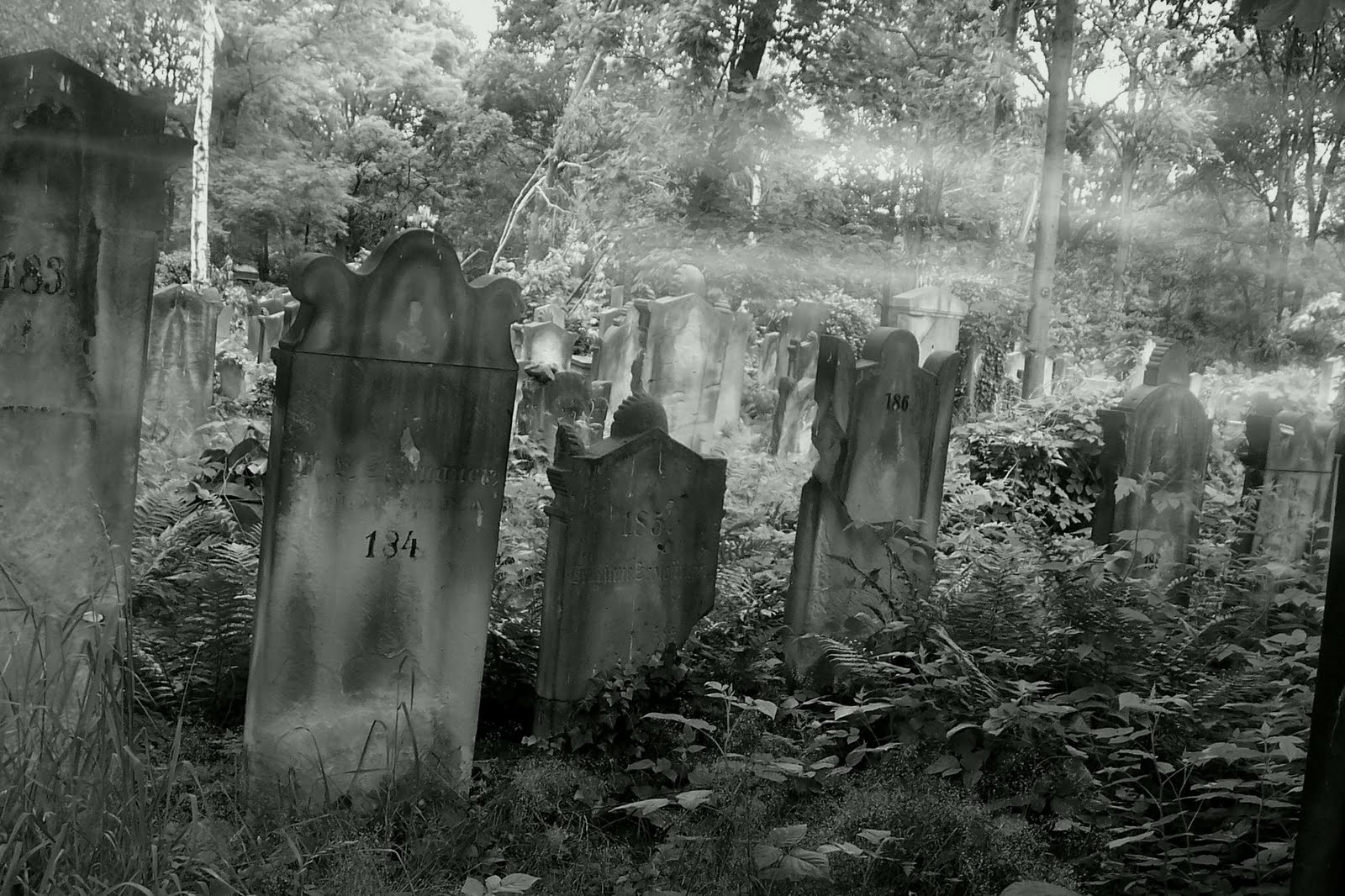 Mezarlıkta 65 adet ceset bulundu! 94 bin kişiye ise ulaşılmaya çalışılıyor!