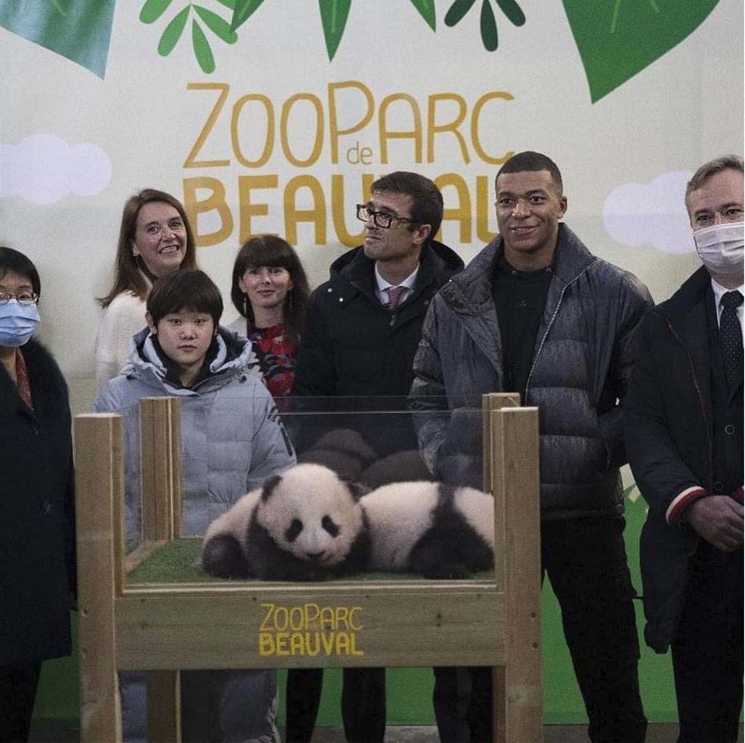 PSG'nin yıldızı Kylian Mbappe, bir pandanın vaftiz babası oldu!