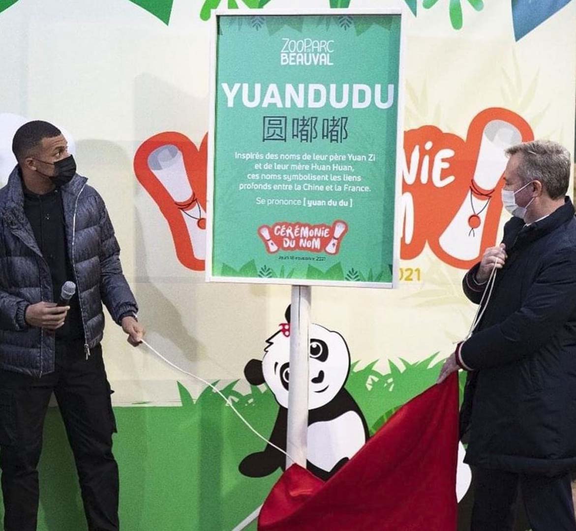 PSG'nin yıldızı Kylian Mbappe, bir pandanın vaftiz babası oldu!