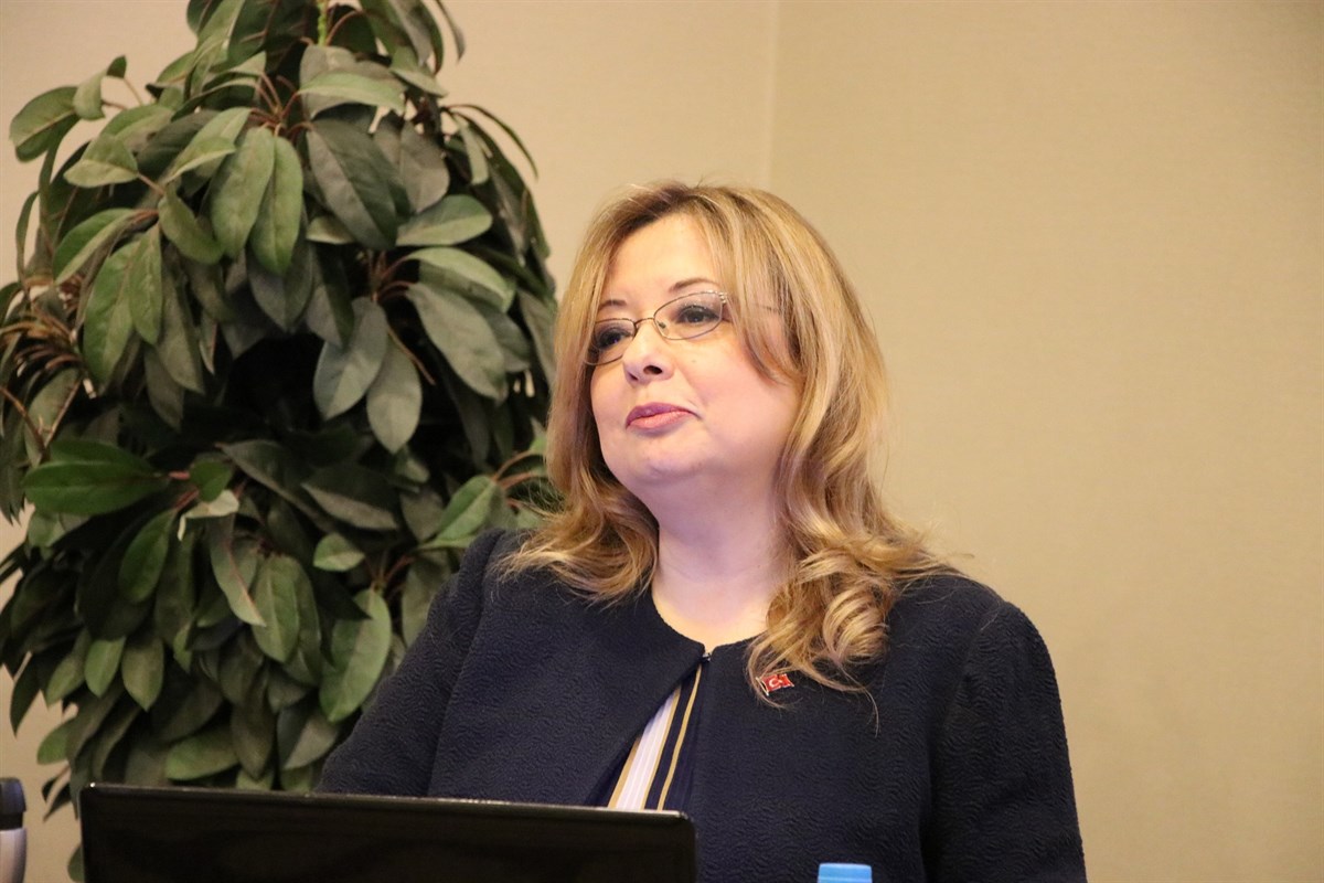 Gülnur Aybet kimdir? Kaç yaşında, nereli? UNESCO Türkiye Daimi Temsilcisi Prof. Dr. Gülnur Aybet'in biyografisi