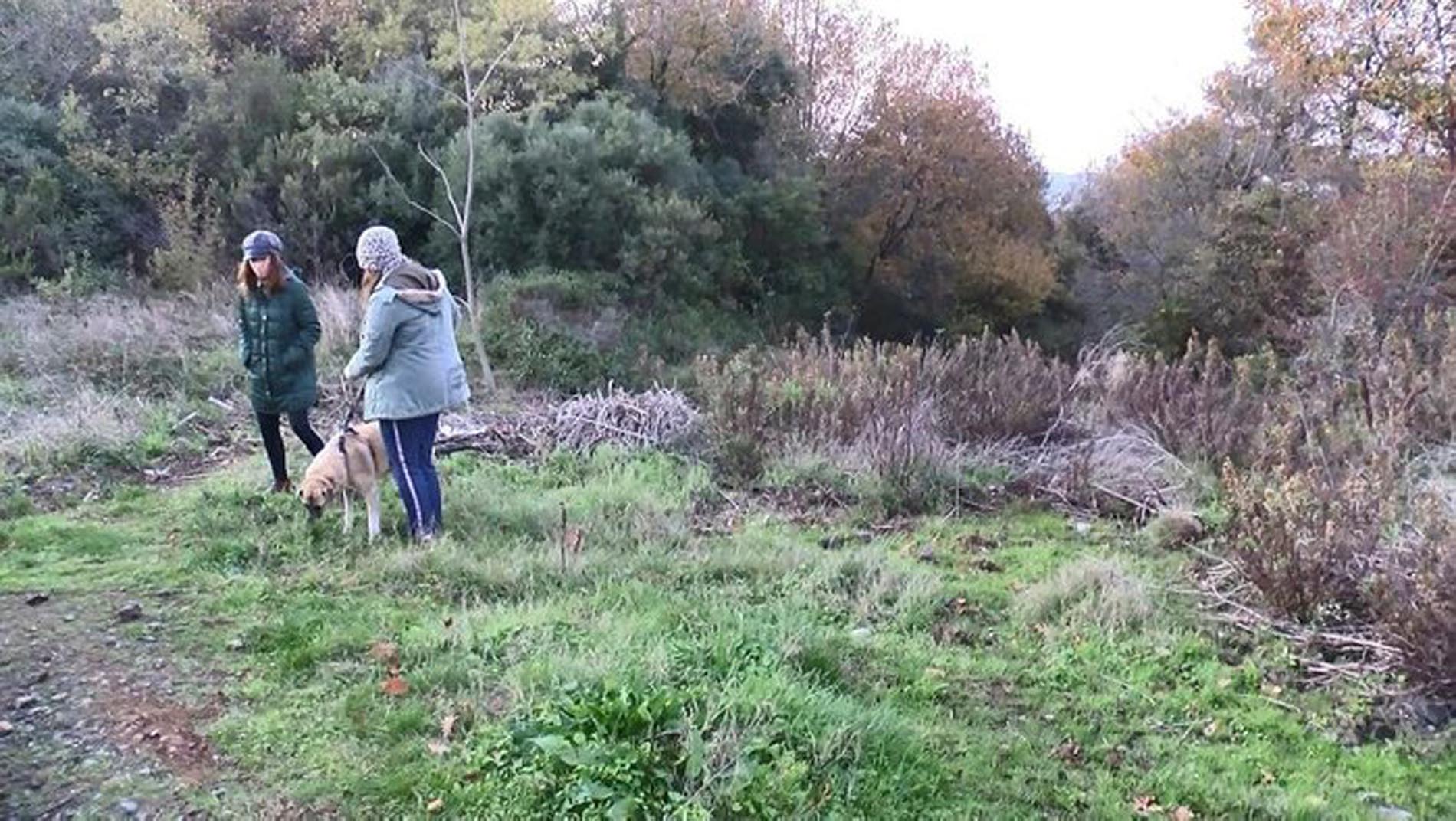 Sarıyer'de yolun kenarında kesilmiş at parçaları bulundu! Kesilen etler poşetlere konulup götürülmüş!