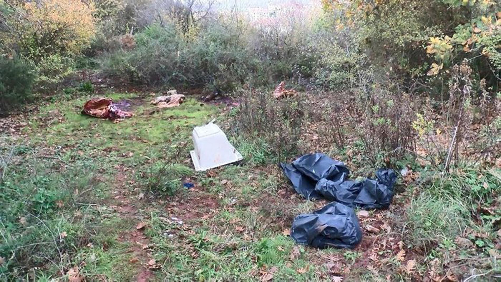 Sarıyer'de yolun kenarında kesilmiş at parçaları bulundu! Kesilen etler poşetlere konulup götürülmüş!