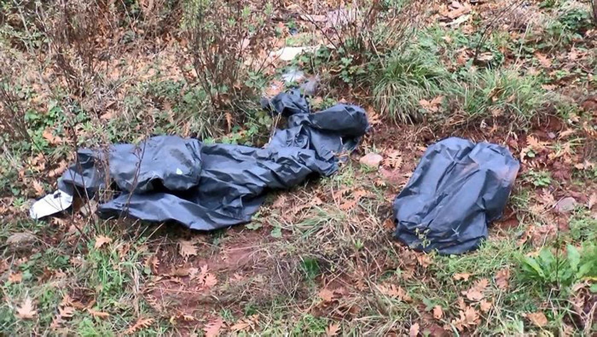 Sarıyer'de yolun kenarında kesilmiş at parçaları bulundu! Kesilen etler poşetlere konulup götürülmüş!