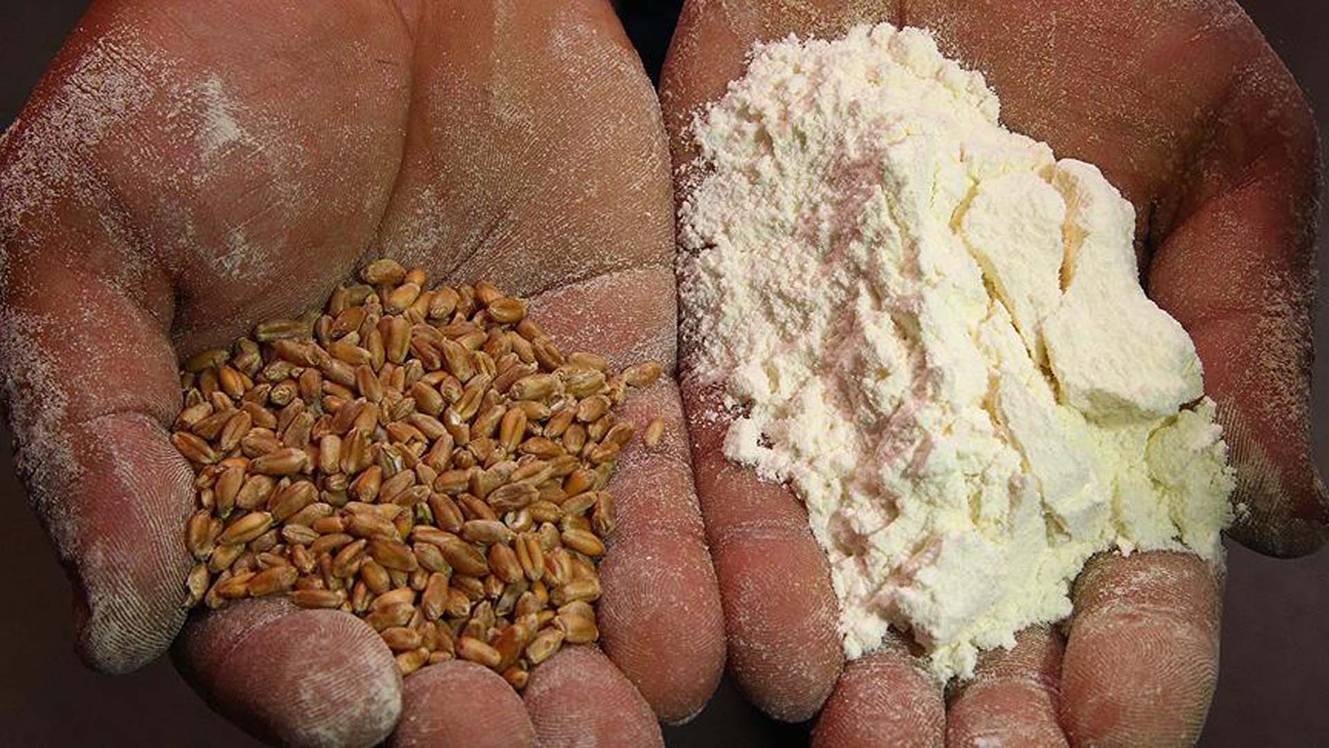 Son dakika | Toprak Mahsulleri Ofisi'nden un açıklaması: Piyasaya arzı konusunda endişeye gerek olmadığının altını çizeriz