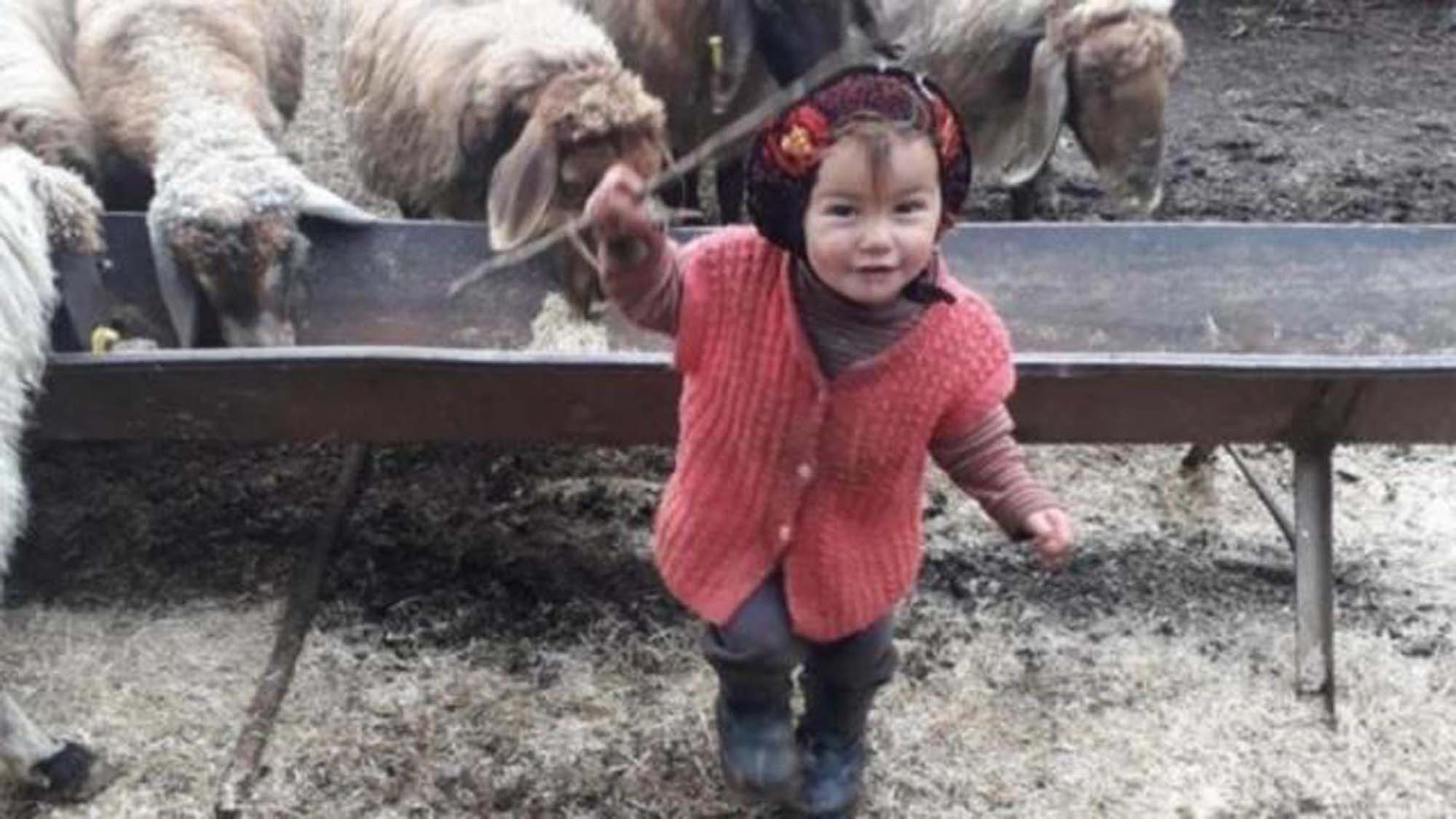 Ülke gündemini sarsacak yeni gelişme! Hasan Yağal, Müslüme'nin ablasının da biyolojik babası çıkmıştı! Ablayı da taciz etmiş!