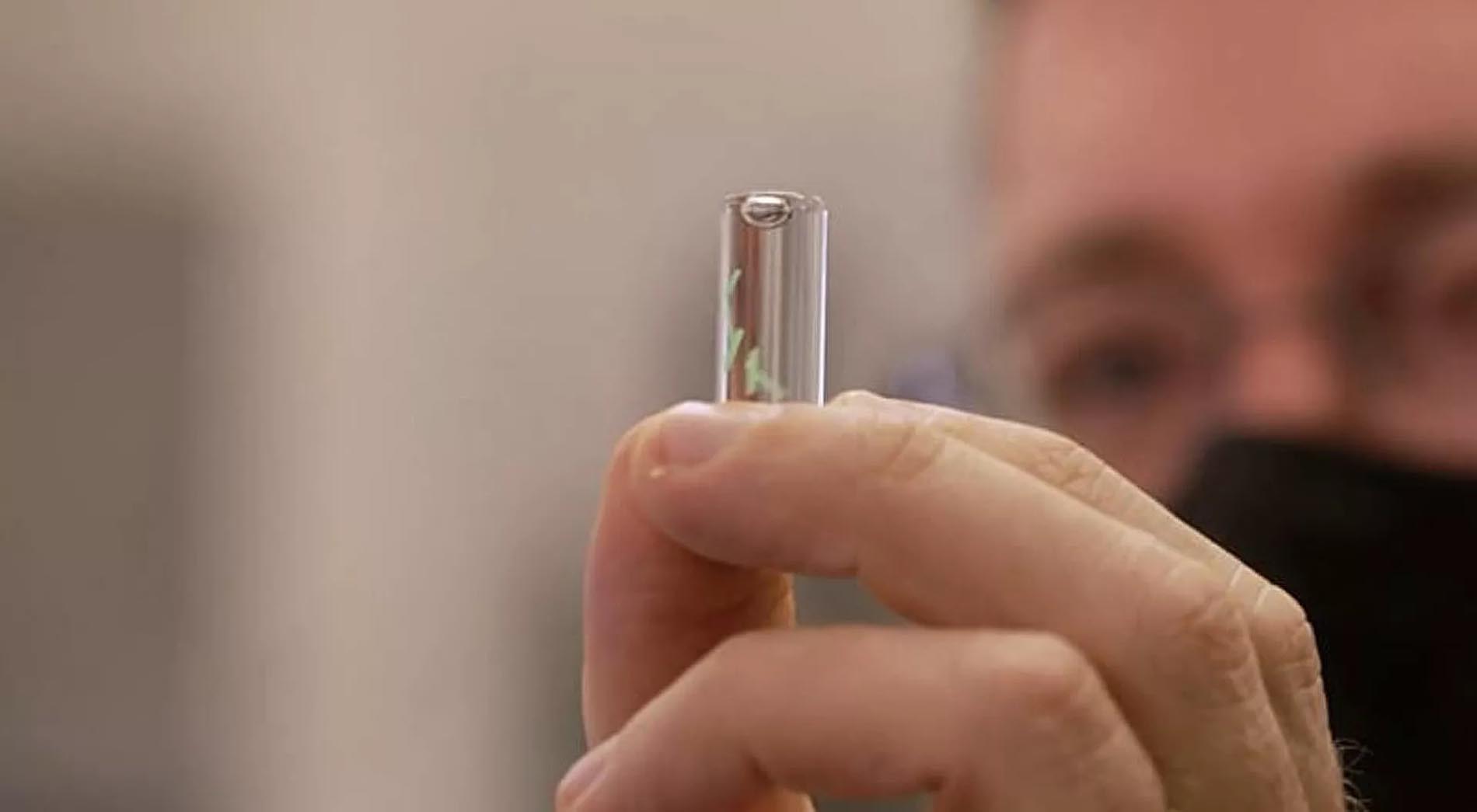 Aşı pasaportunu, ellerine mikroçip olarak taktırdılar! Anahtar ve kimlik taşımayı bıraktılar!