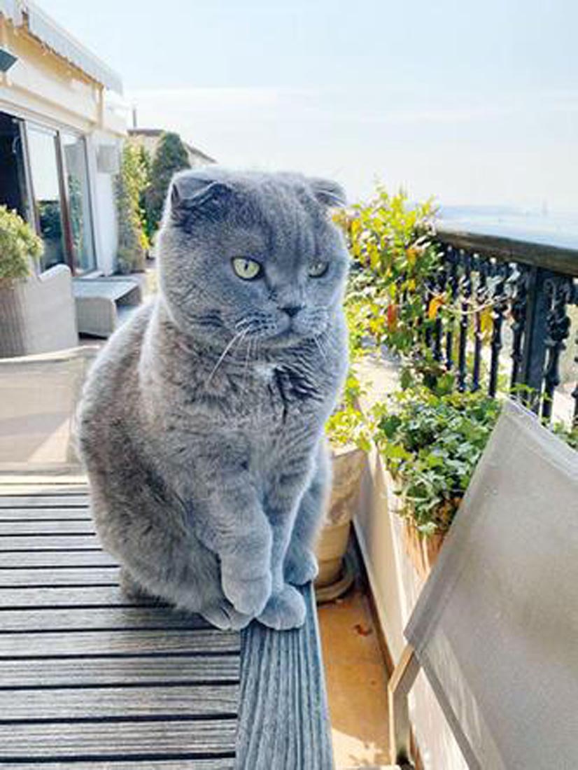 Arınç'la Ahmet Hakan arasında görülmemiş polemik! Bülent Arınç: Patronlarının himmeti ile geldiğin yerde basının en köklü gazetelerinden birini magazin gazetesi haline getirdin!