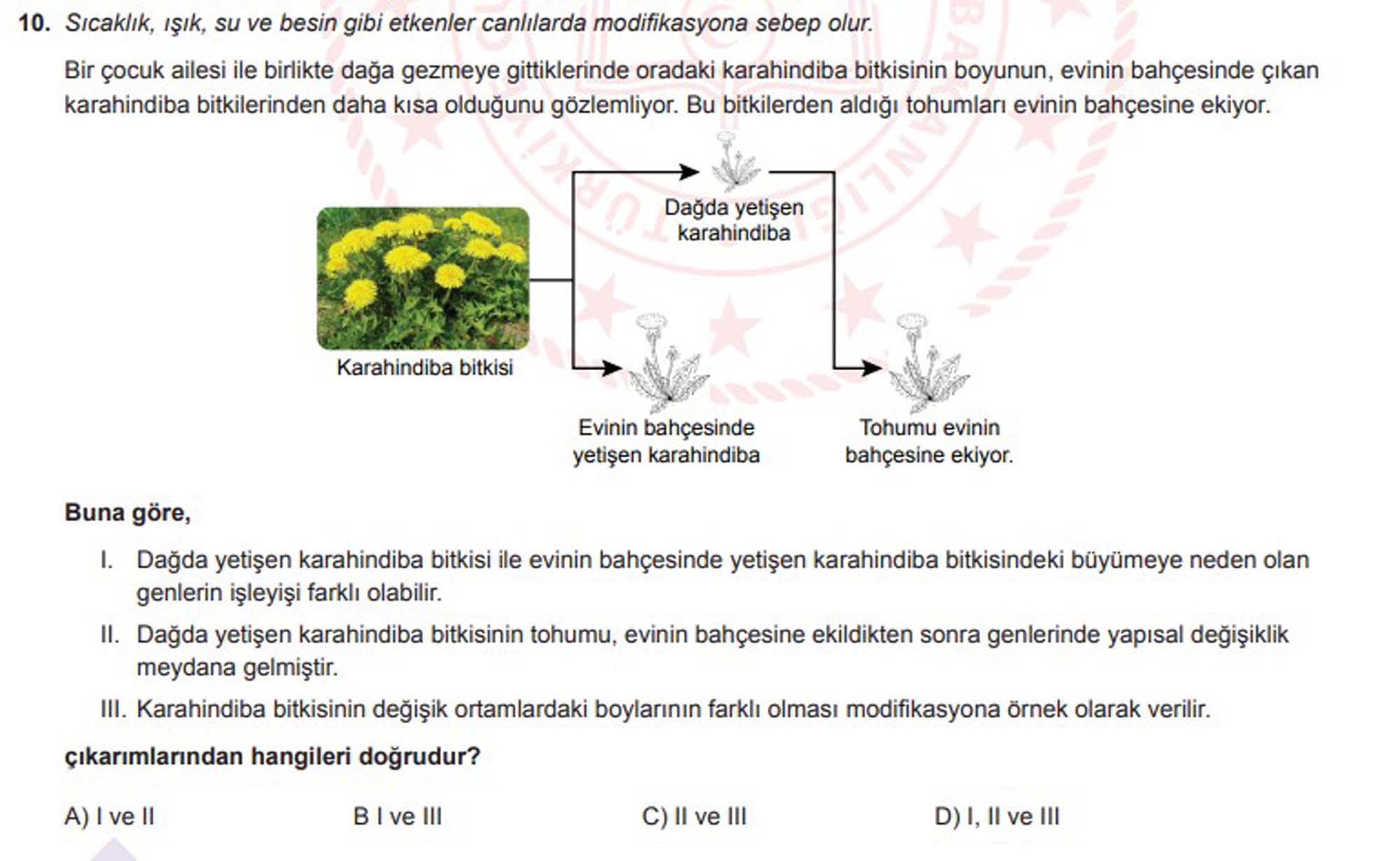 LGS aralık ayı örnek soruları | LGS örnek sorular sayısal, sözel Aralık 2021