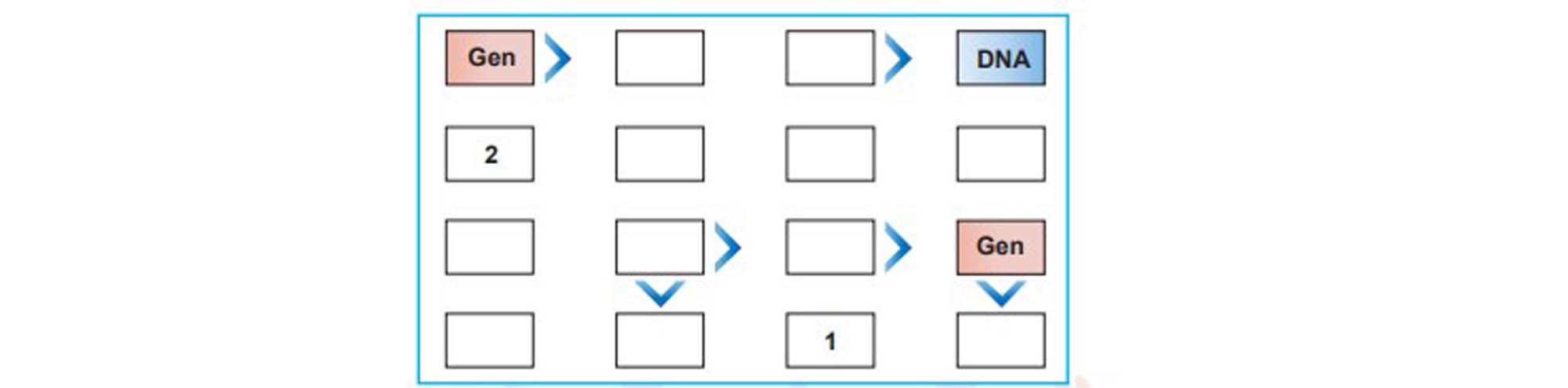 LGS aralık ayı örnek soruları | LGS örnek sorular sayısal, sözel Aralık 2021
