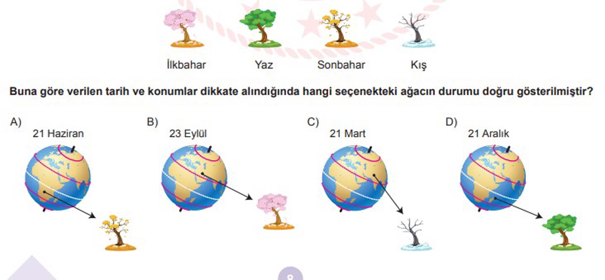 LGS aralık ayı örnek soruları | LGS örnek sorular sayısal, sözel Aralık 2021