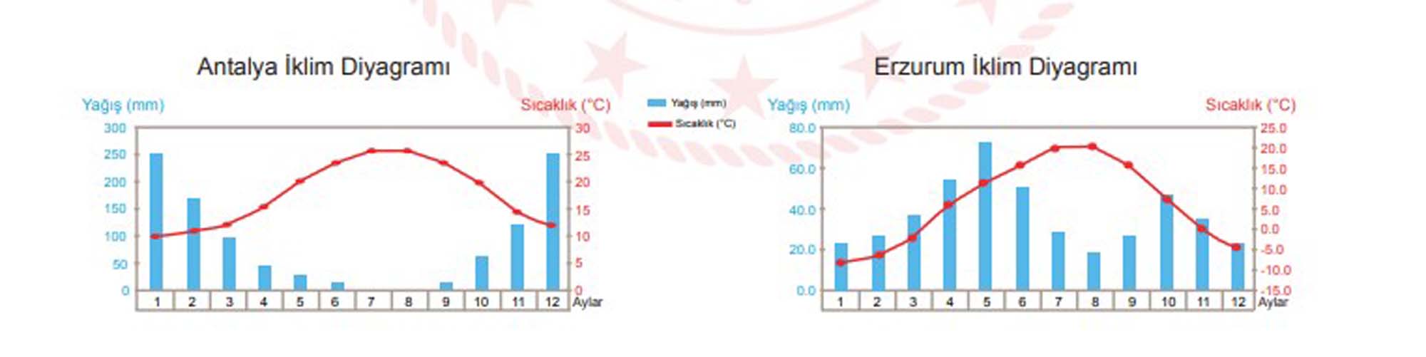 LGS aralık ayı örnek soruları | LGS örnek sorular sayısal, sözel Aralık 2021